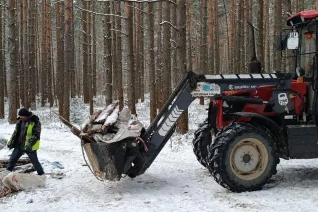 Фото: Комитет лесного хозяйства Московской области