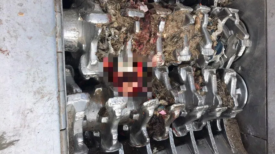 телеграм-канал «под100личка»