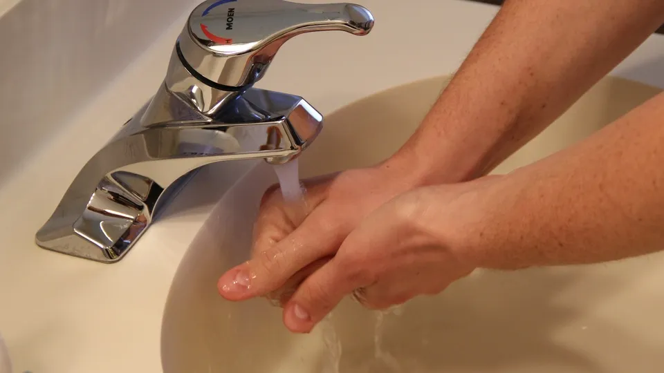 Фото: pxhere.com