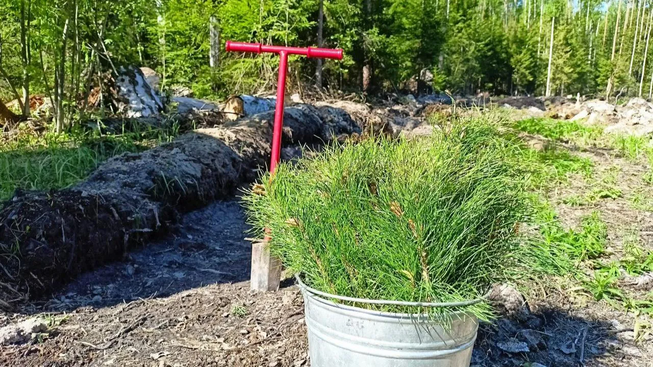 медиасток.рф