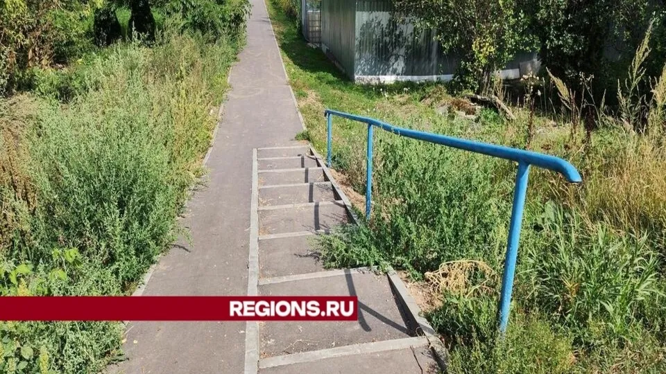 Фото: Иван Дубров