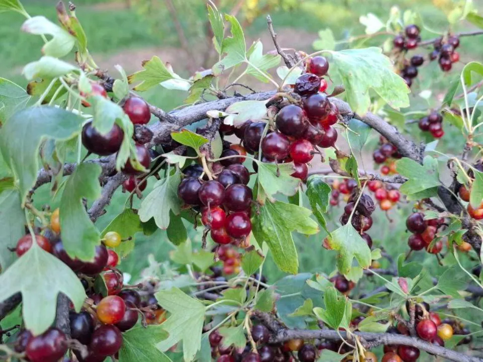 Фото: REGIONS/Юлия Габбасова