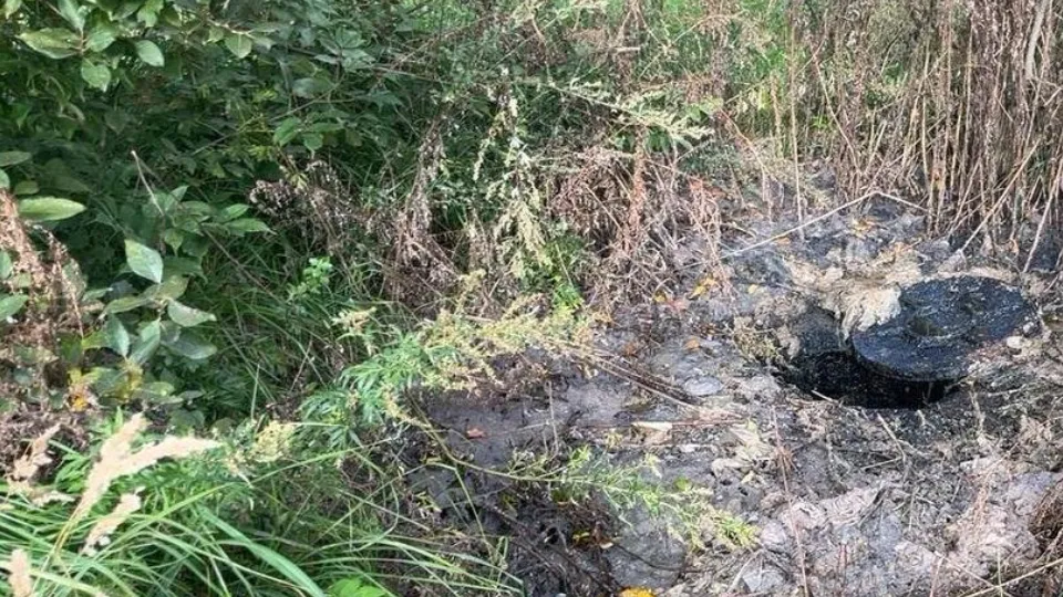 Фото: Министерство экологии и природопользования Московской области