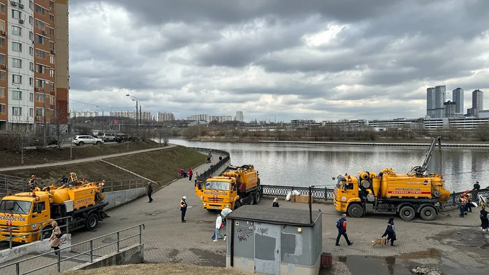 Фото: t.me/krasnogorsk_official