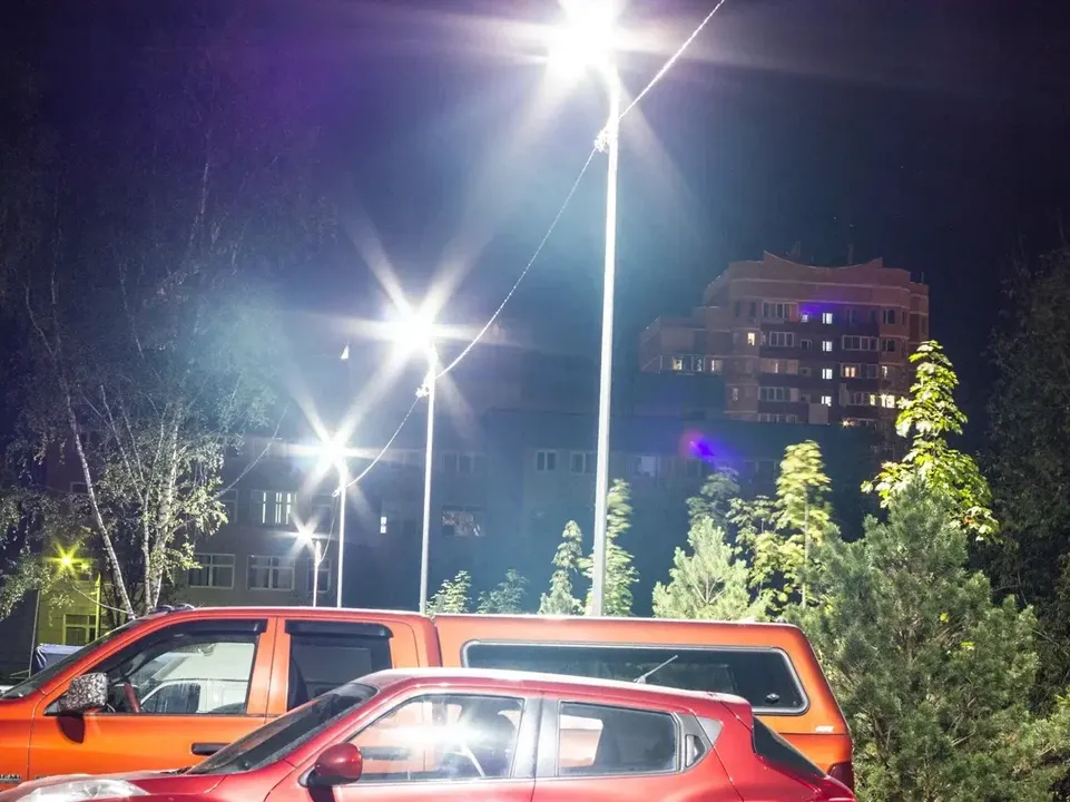 Фото: Министерство благоустройства Московской области