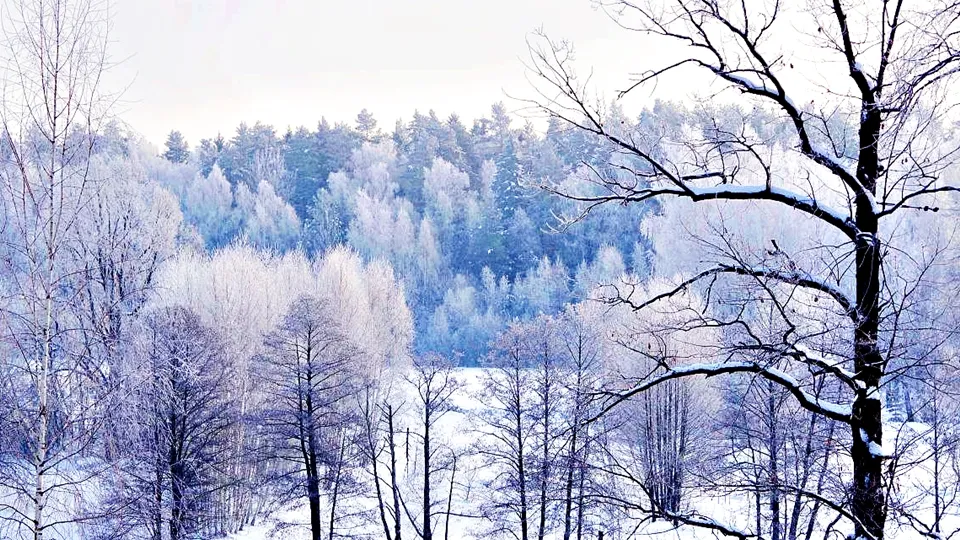 Фото: Ольга Калинина
