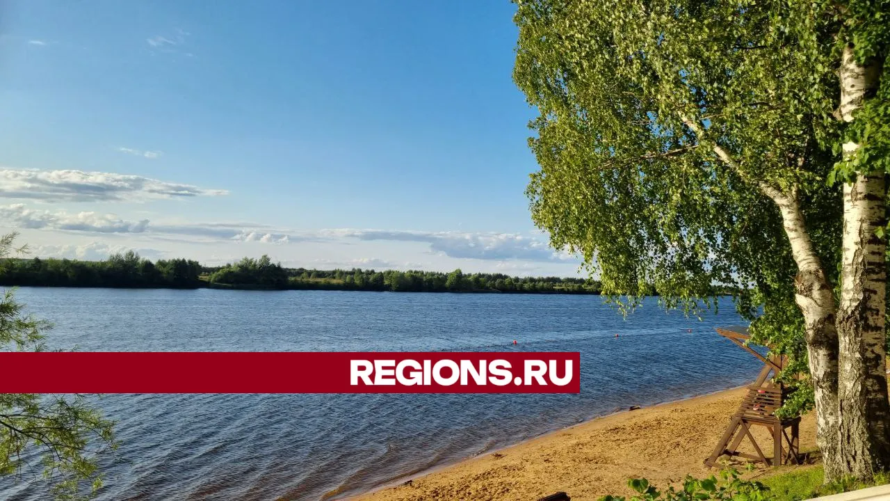 Фото: REGIONS/Ольга Ковалева
