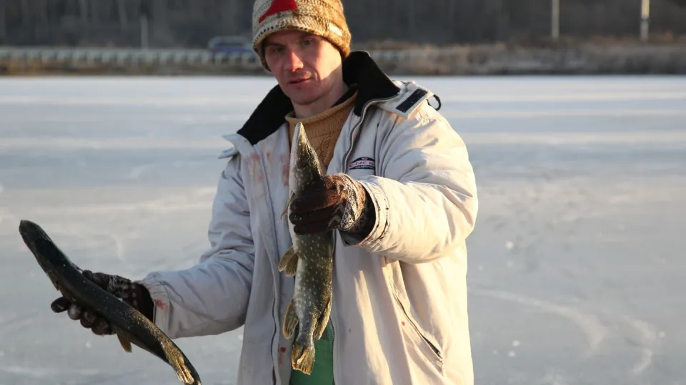 Фото: медиасток.рф