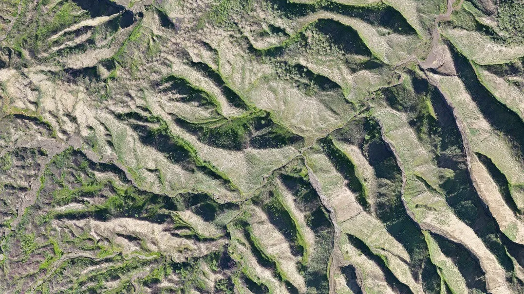 Плейстоценовый хаки. Фото: Алексей Лупачев