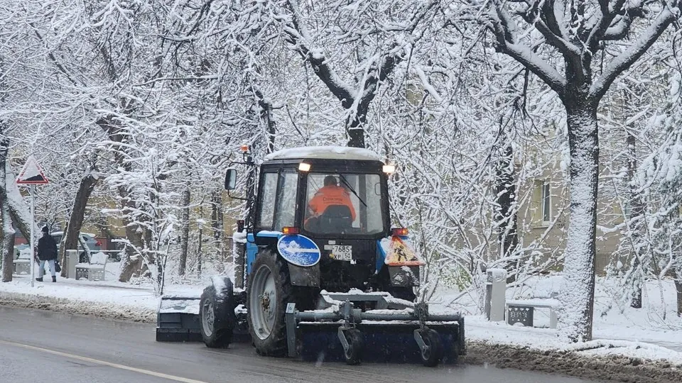 Фото: Хавива Фонина