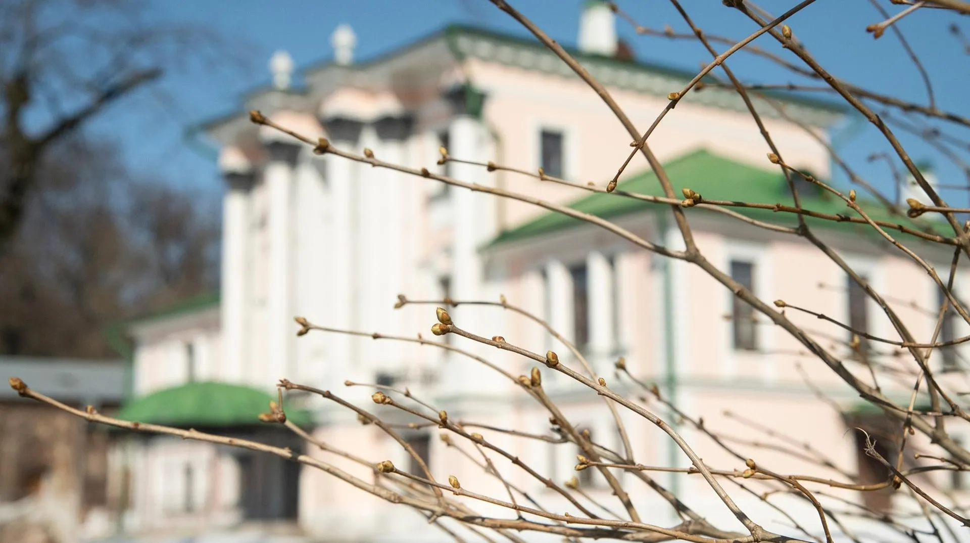 t.me/usadbakrivyakino