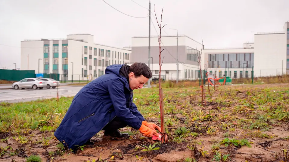 Фото: пресс-служба администрации г.о. Сергиев Посад