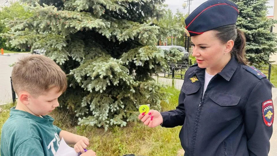 Фото: ОГИБДД МУ МВД России «Балашихинское»