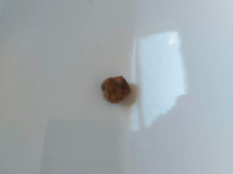 Фото: пресс-служба Ногинской больнциы