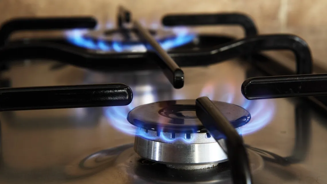 Фото: pxhere.com