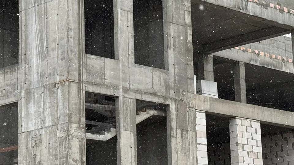 Фото: Медиабанк Подмосковья/Мария Шматкова