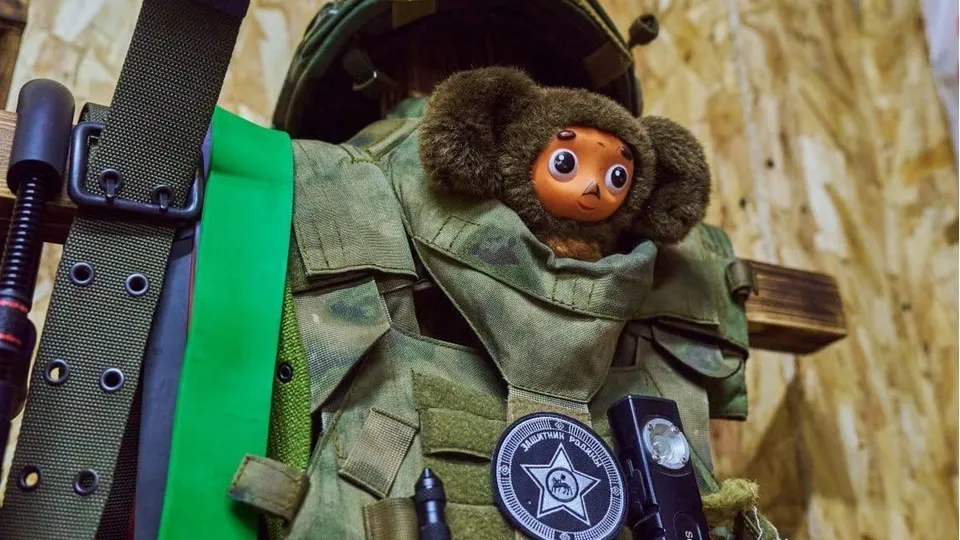 Фото: пресс-служба администрации м.о. Чехов