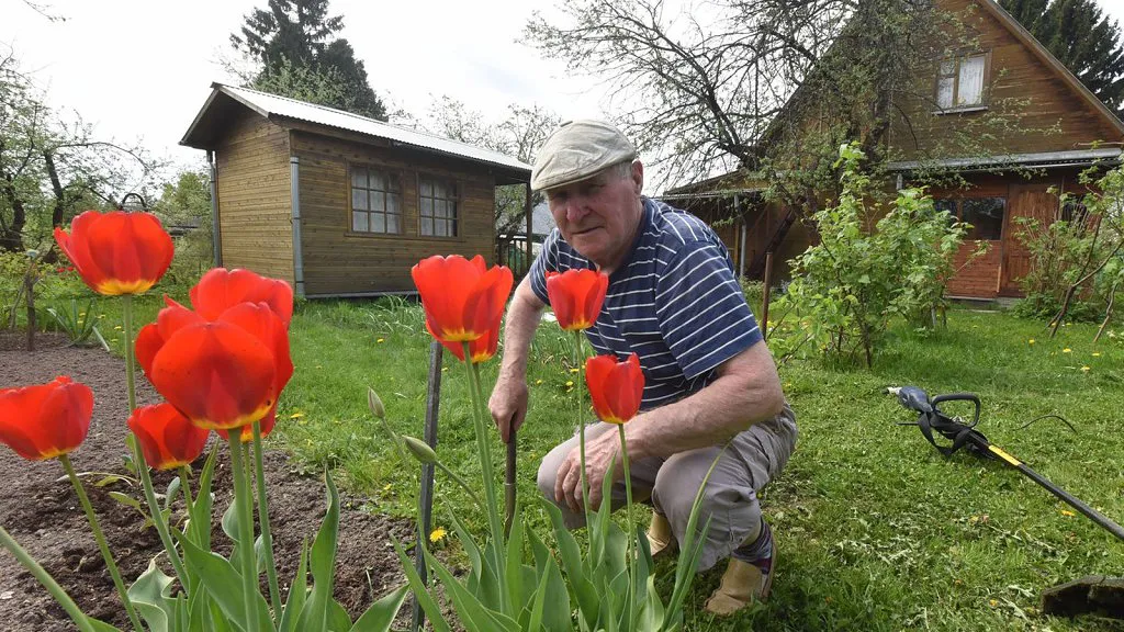 Фото: медиасток.рф