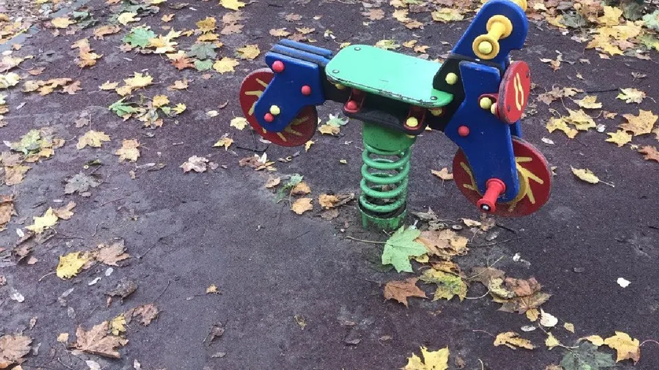 Фото: пресс-служба администрации Одинцовского городского округа