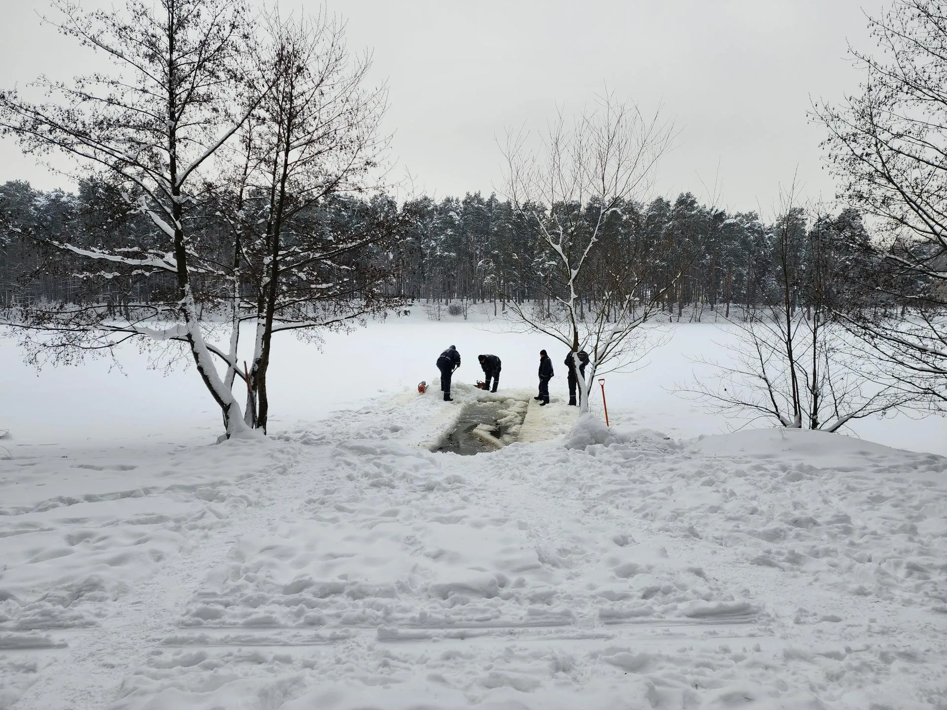 Фото: МедиаБанк Подмосковья/Ирина Моисеева