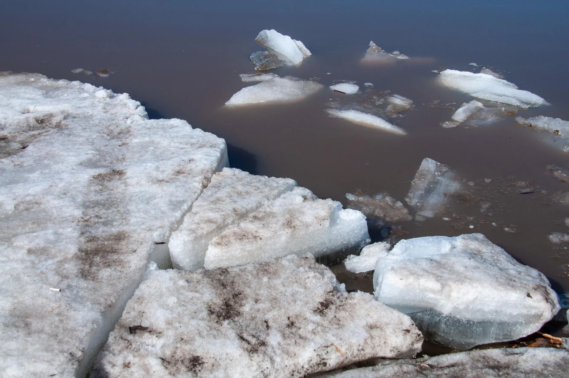 Svetlana Vozmilova/Global Look Press