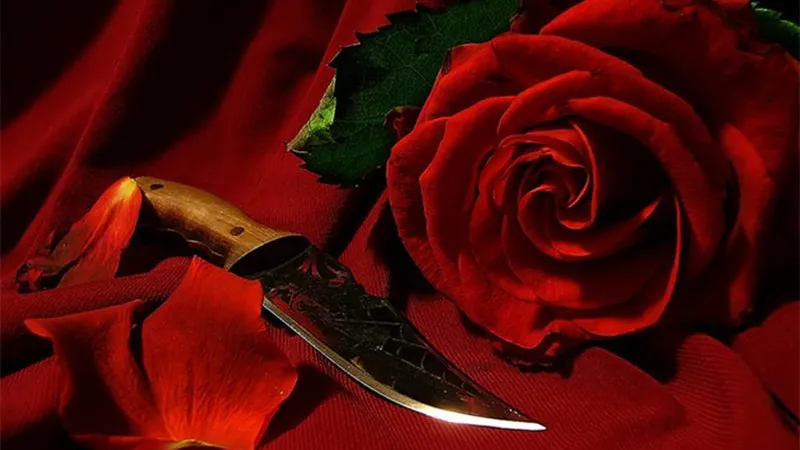 Любовный квадрат: мужчина, сам того не зная, убил второго ухажёра жены в Сергиевом Посаде