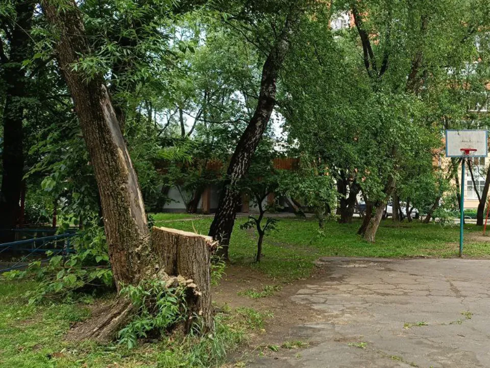 Фото: пресс-служба администрации Одинцовского г.о.