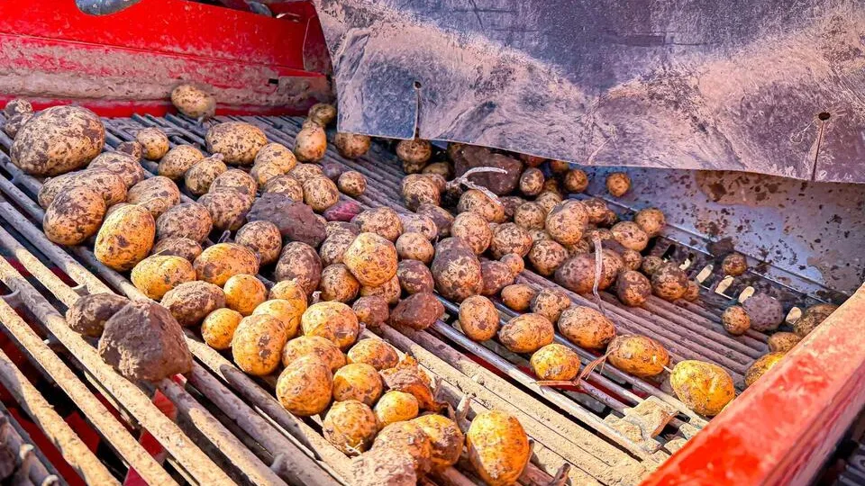 Фото: МедиаБанк Подмосковья/Данила Кирьянов