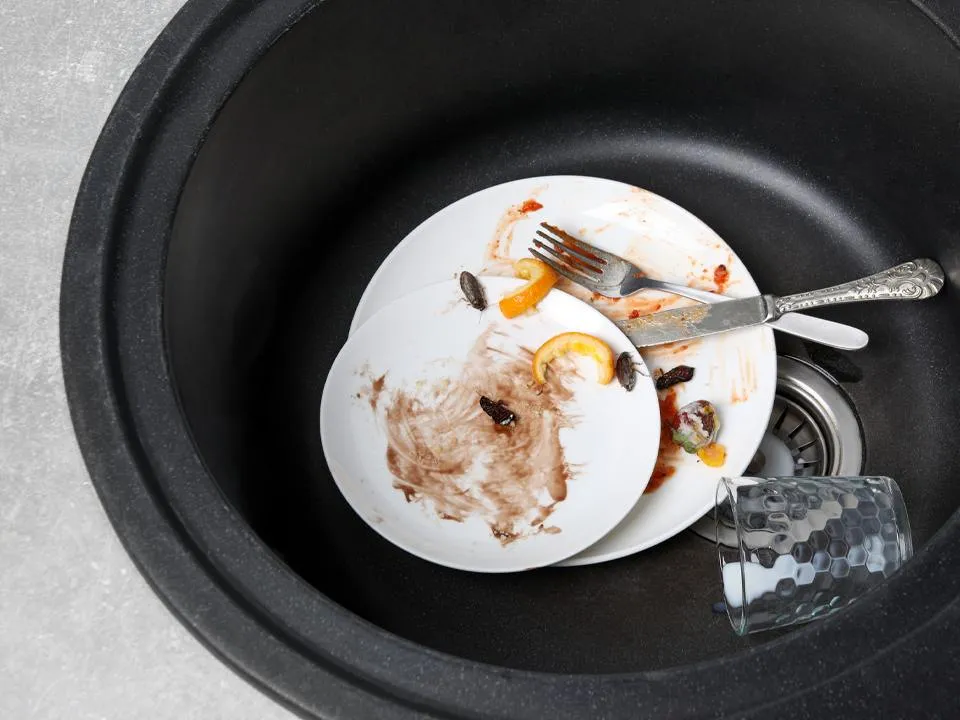 Фото: istockphoto.com