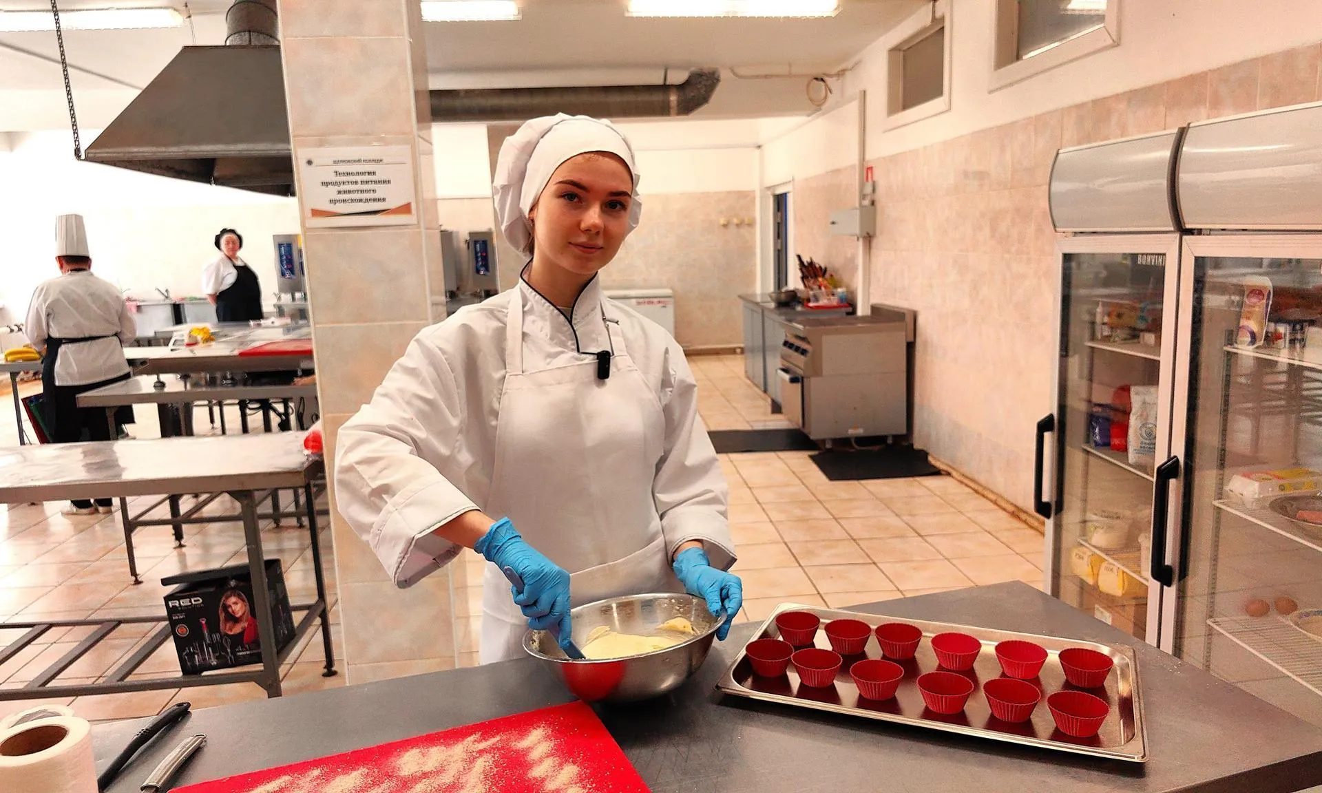 Елена Катасонова