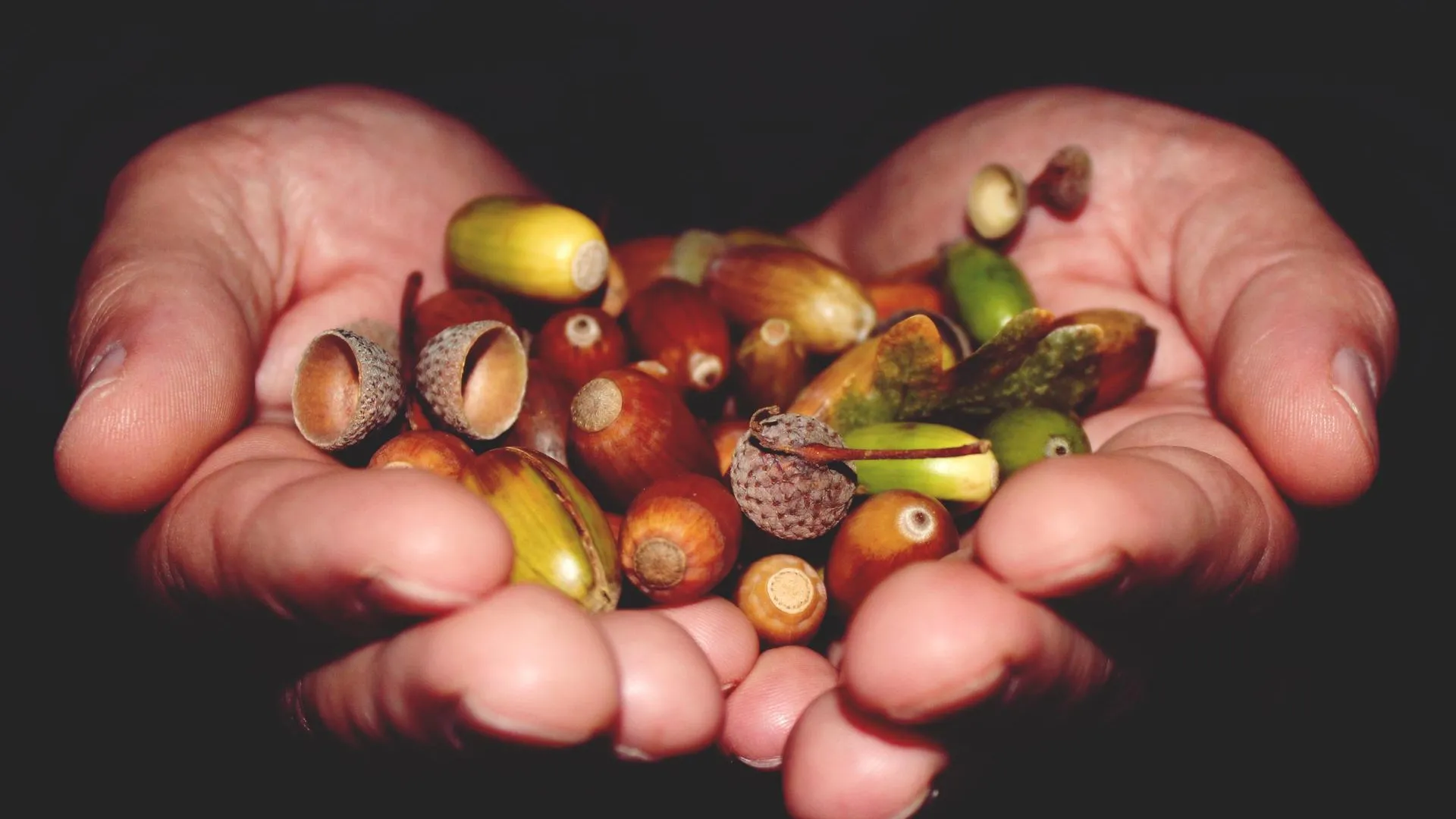 Фото: pxhere.com