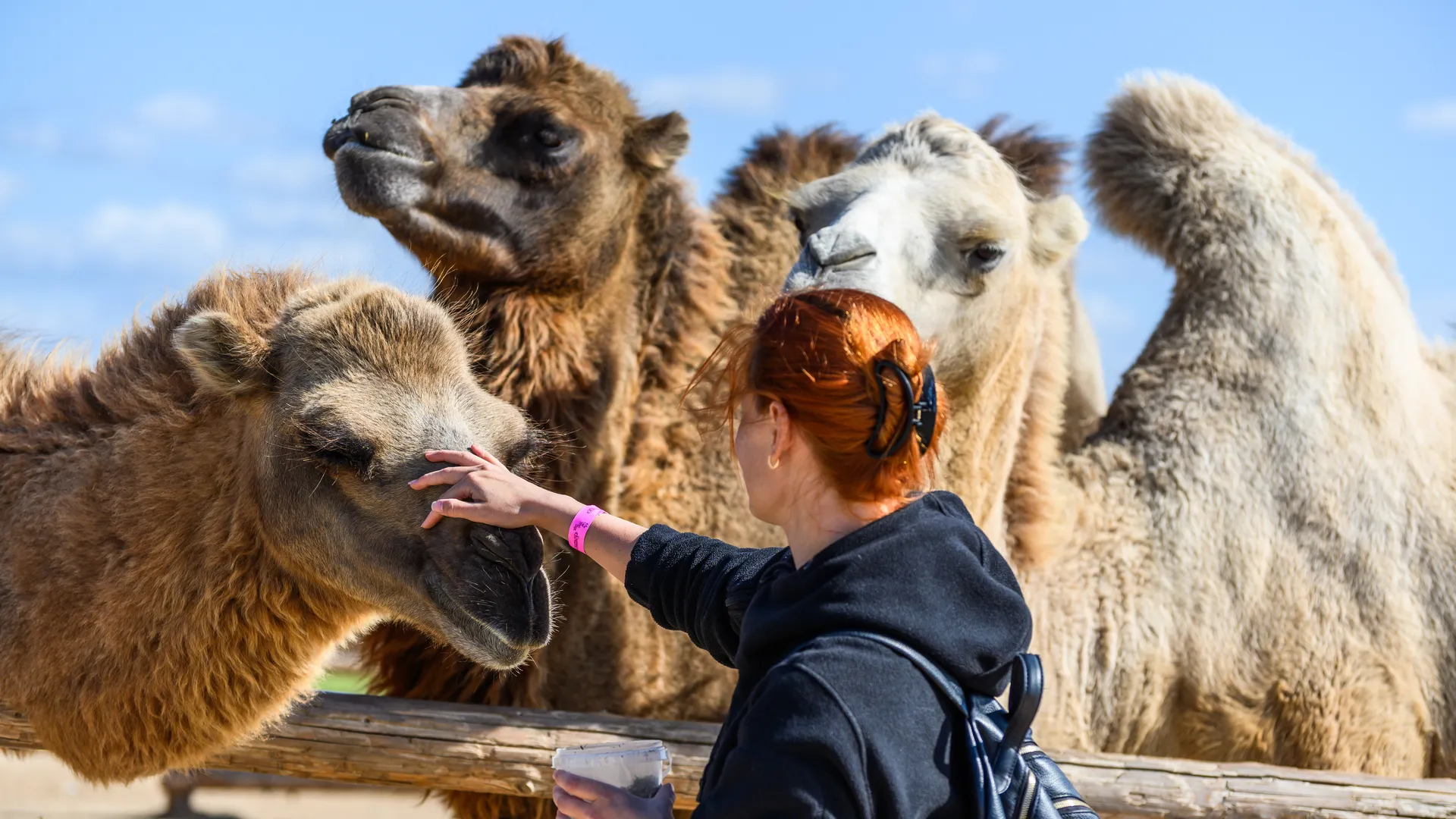 медиасток.рф