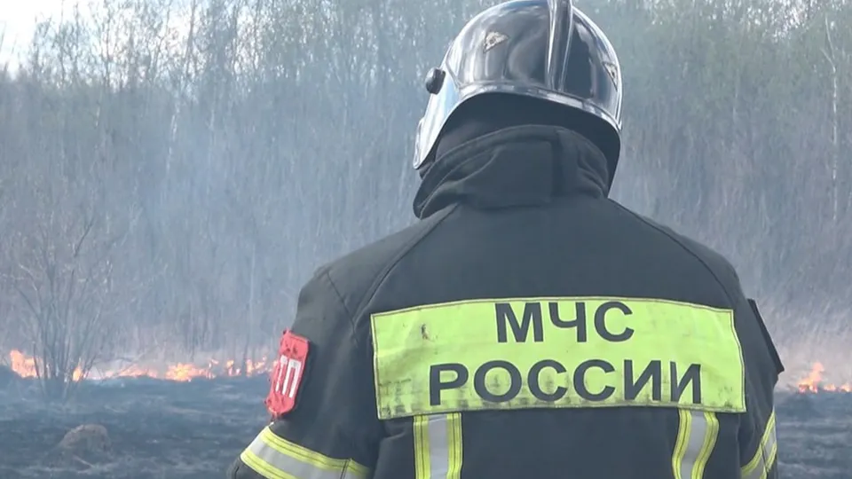 Фото: МедиаБанк Подмосковья/Наталия Надточая