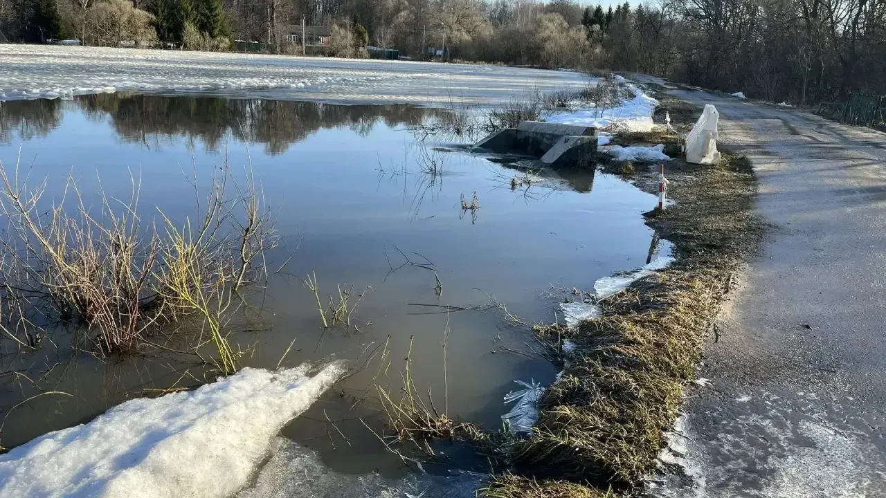 аварийно-спасательная группа «ЧеховСпас»