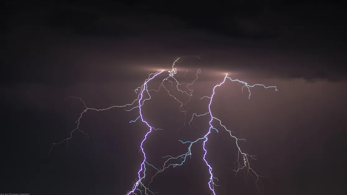 Фото: freepik.ru