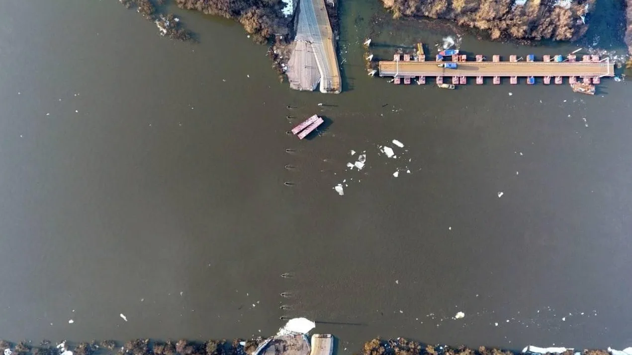 Медиабанк Подмосковья/Анна Шолохова