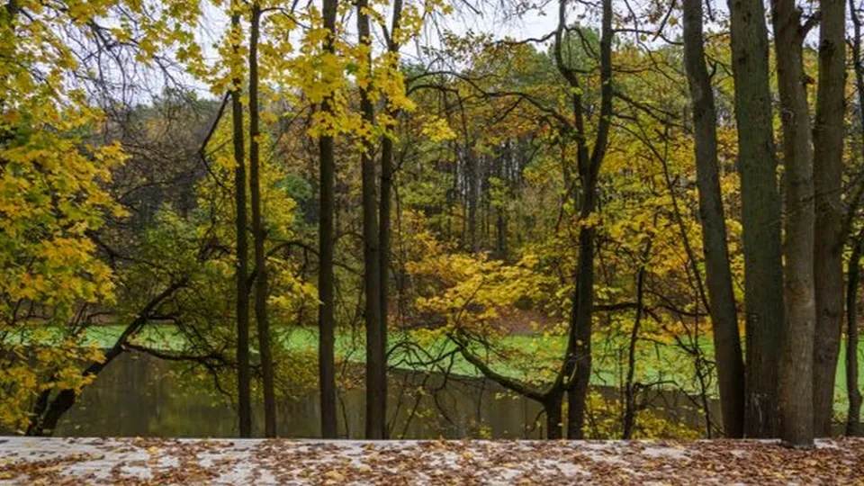 Фото: медиасток.рф