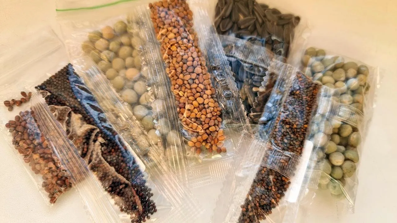 REGIONS/Юлия Алабина