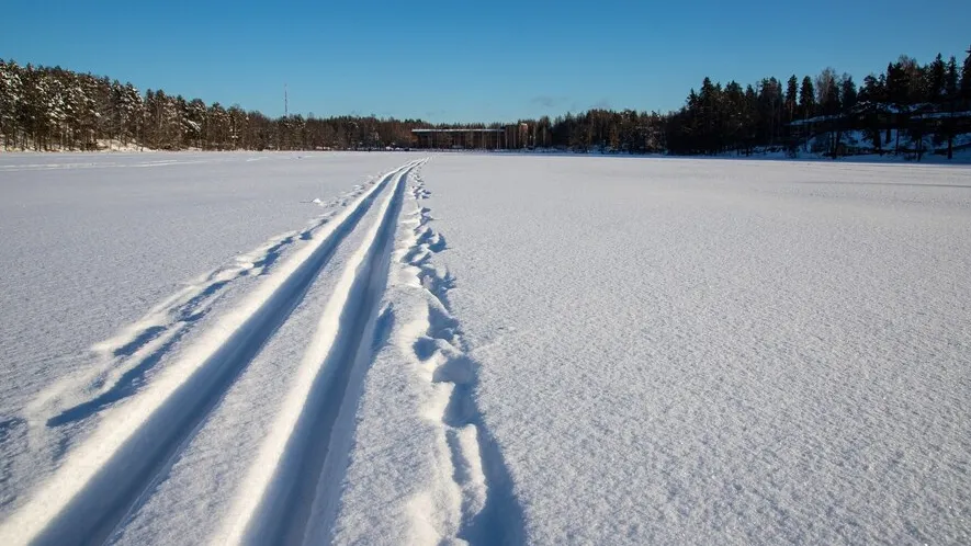 Фото: freepik.com