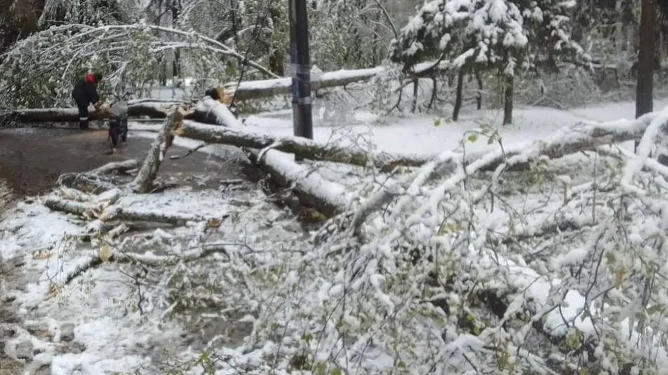 Фото: пресс-служба администрации г.о. Лобня