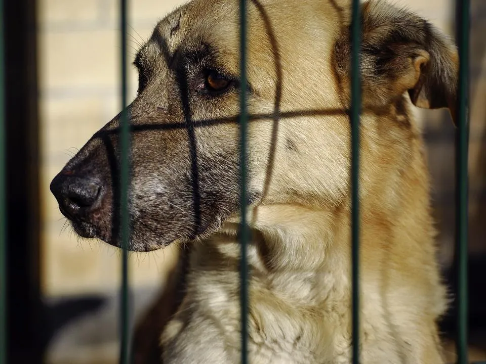Фото: istockphoto.com/Marina Tobaruela
