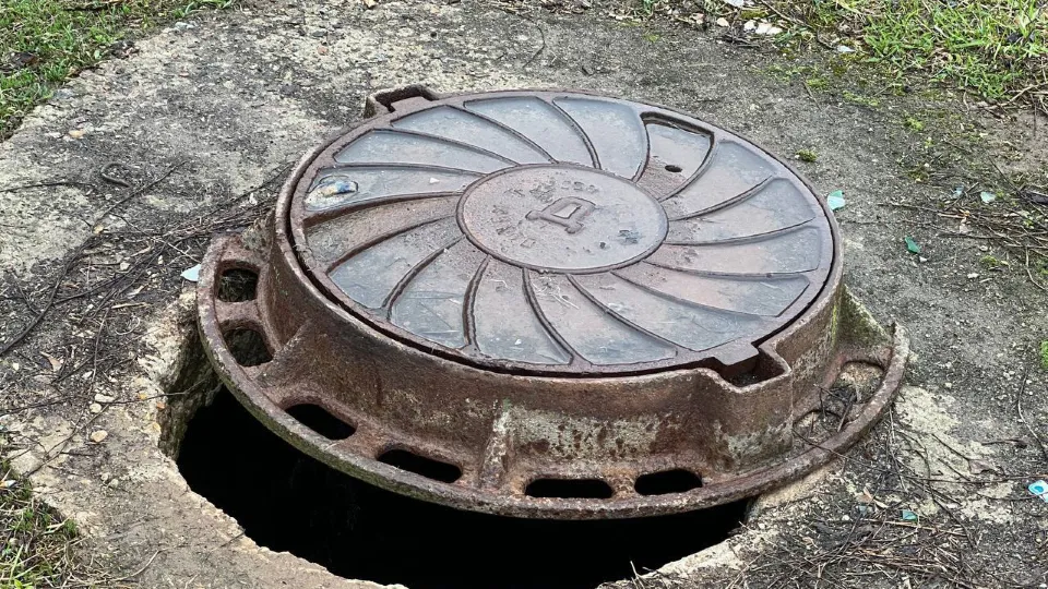 Фото: администрация м.о. Чехов