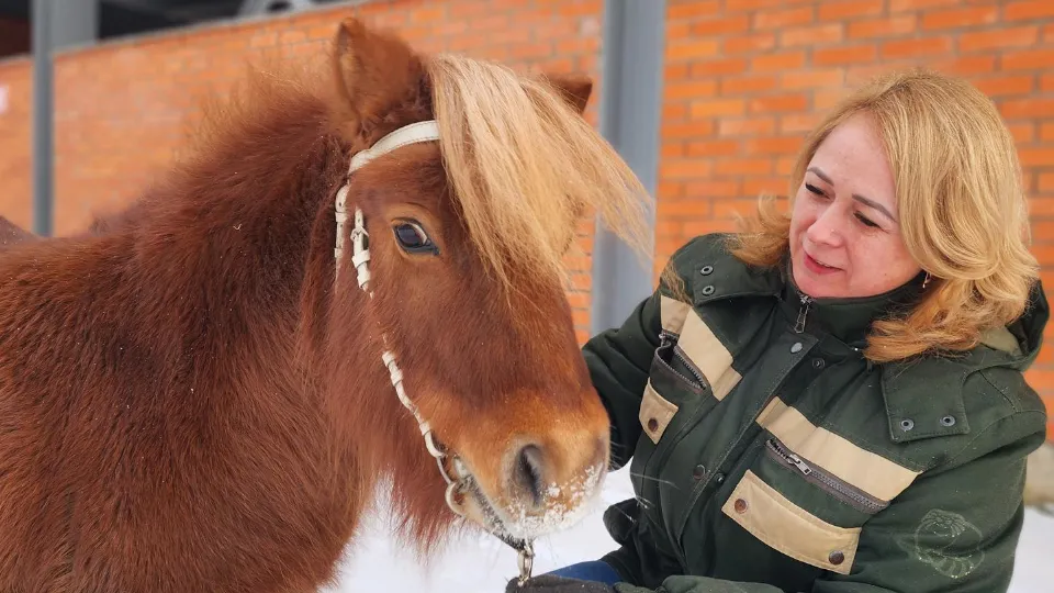 Фото: МедиаБанк Подмосковья/Дмитрий Беденко