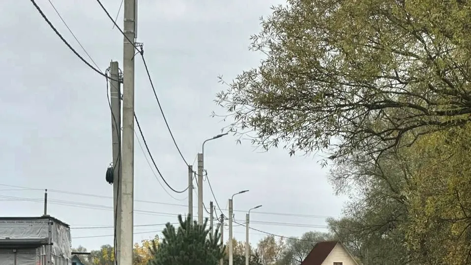 Фото: пресс-служба администрации Наро-Фоминского г.о.