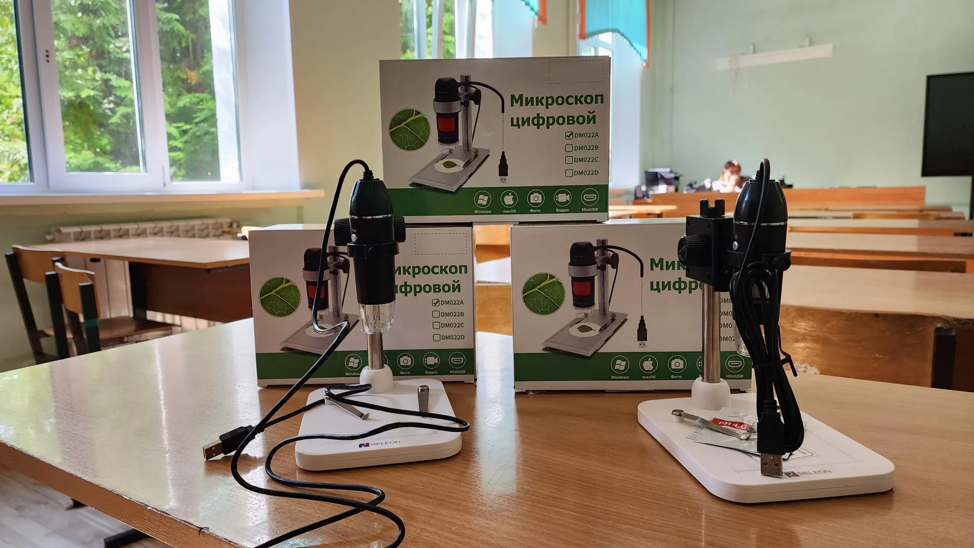 Фото: Ирина Моисеева