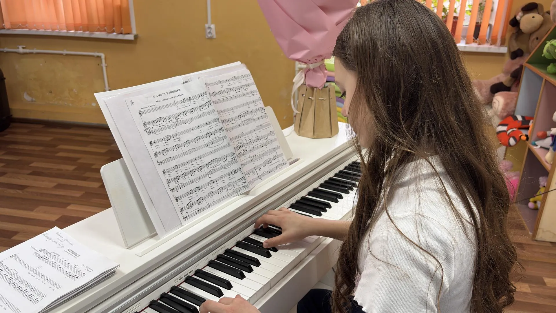 МедиаБанк Подмосковья/Анна Нестерова