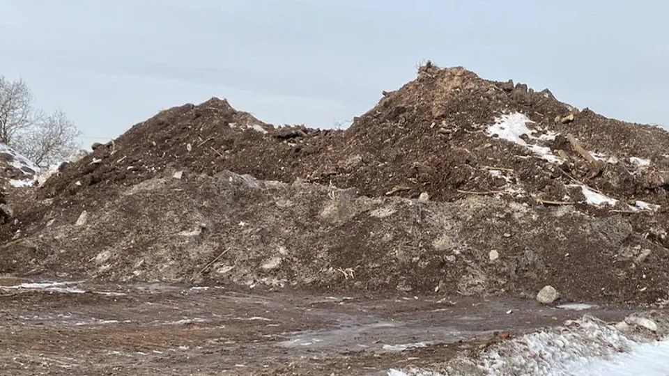 Фото: Министерство экологии и природопользования Московской области