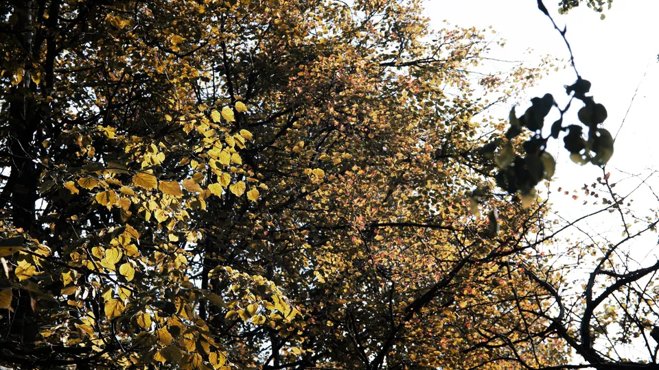 Фото: REGIONS/Наталия Надточая