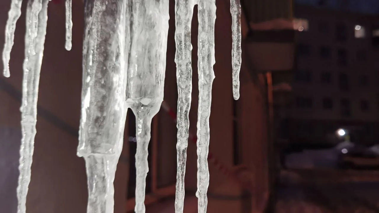 МедиаБанк Подмосковья/Дмитрий Зайчиков