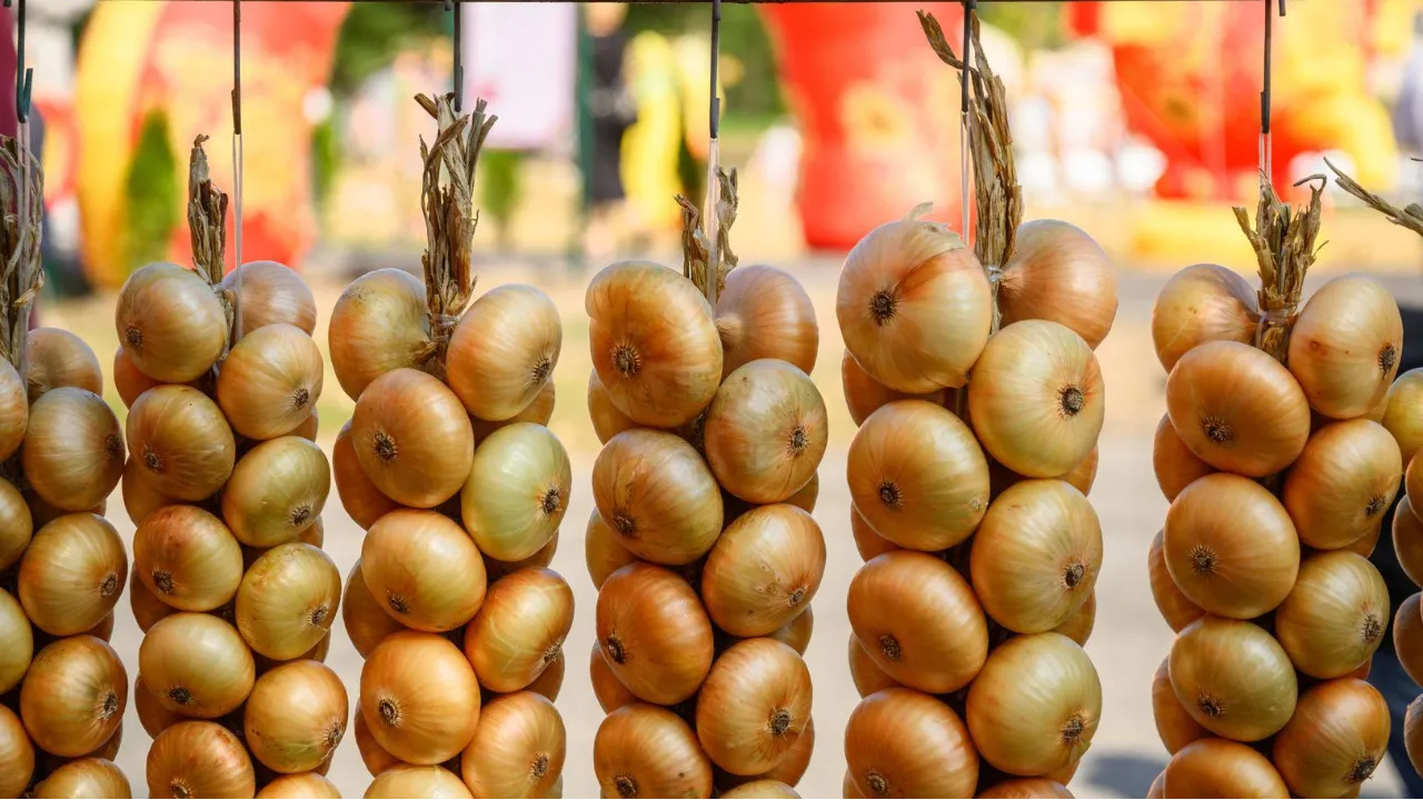 медиасток.рф